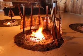 A fire pit with sticks and wood burning.