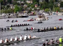 A group of people rowing boats in the water.