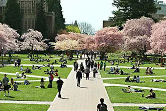 A group of people walking on the grass near trees.