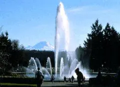 A fountain with people standing around it and trees in the background.